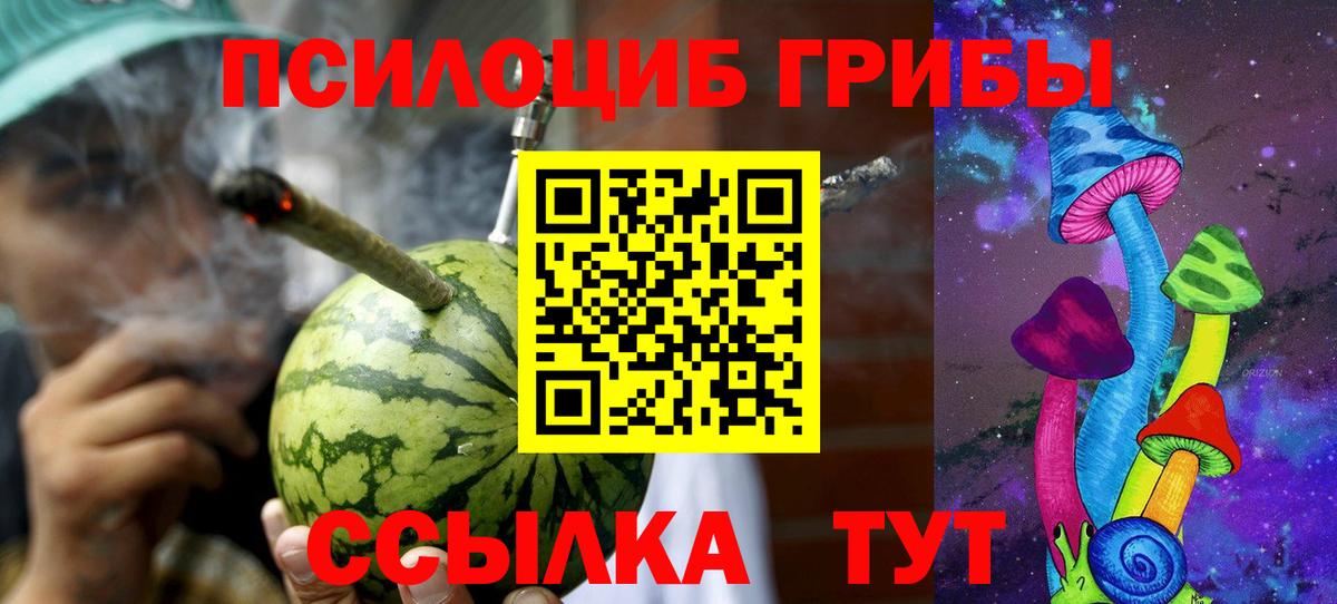 Псилоцибиновые грибы мицелий Чусовой
