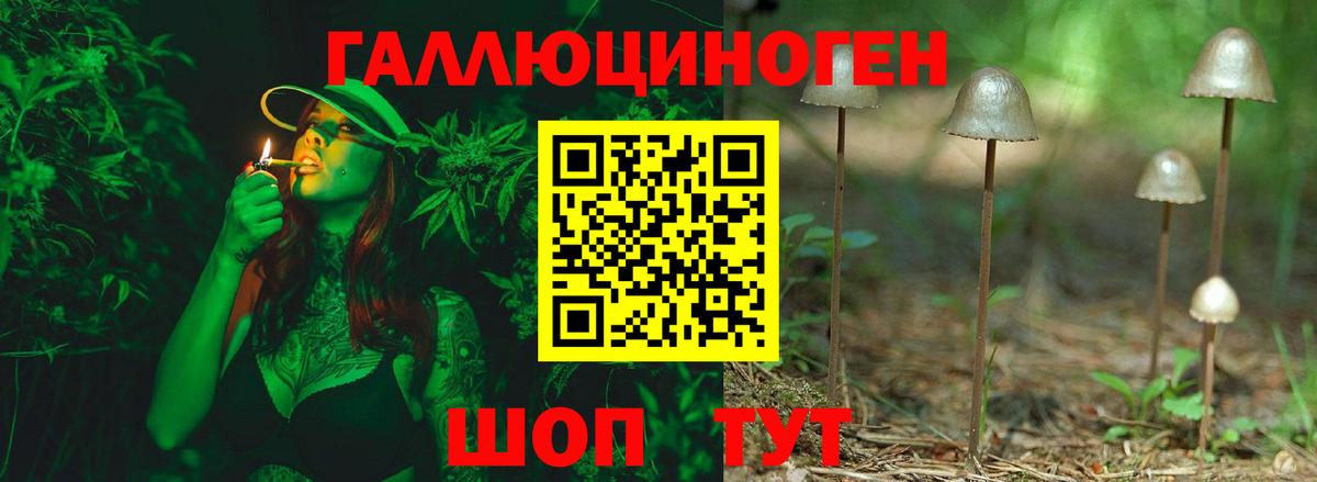 Чусовой  Галлюциногенные грибы MAGIC MUSHROOMS  Вход с VPN 